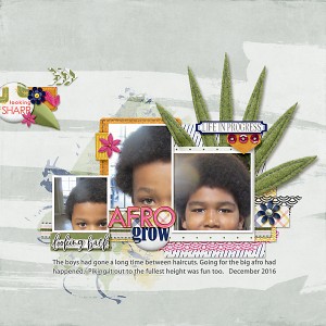 12032106-afros-copy