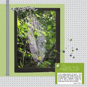 Sep5_Bday SS_web