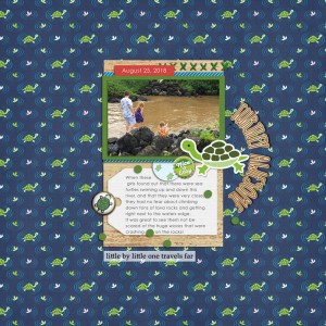 Turtley Awesome
