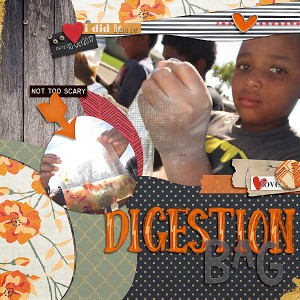 10102018-digestion-bags-BYOC-3-copy