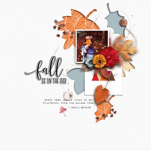 Falling Leaves