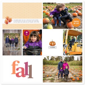 Pumpkin Patch 2014