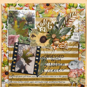 Obsessed with autumn leaves