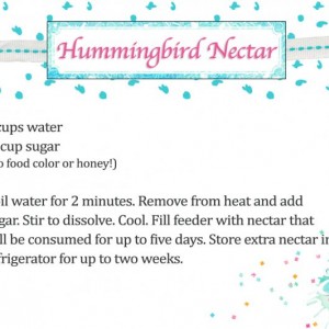 HummingbirdRecipeCard