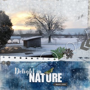 Delight in Nature