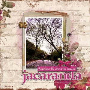 Jacaranda