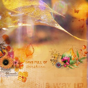 Days-full-of-sunshine