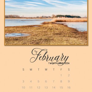 Soco_Calendar2019_02_Feb