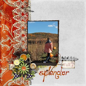Splender
