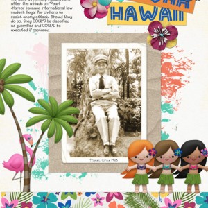 Aloha-Hawaii