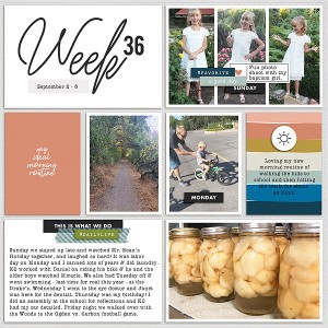 2018 Week 36 - left side
