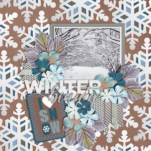 Winter Beauty