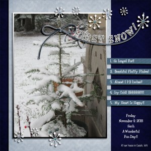 NOVEMBER JOURNALING CHALLENGE - FIRST SNOW
