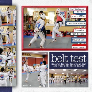 Black Belt Level 4 Test