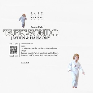 Taekwondo