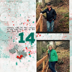 Dec-14-cweb
