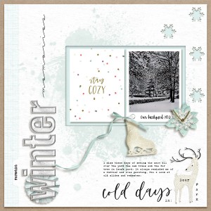 Winter Memories