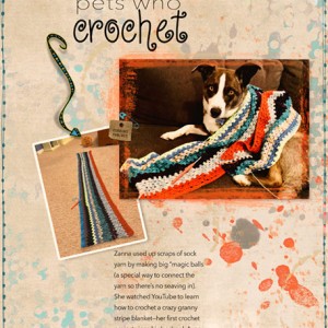 11-18_PetsWhoCrochet