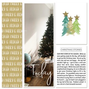 DYD 2018 11.23 The Pre-lit Tree