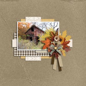 Fall in the Country