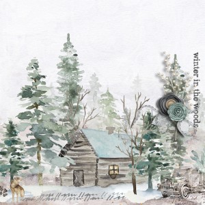 Winter in the Woods