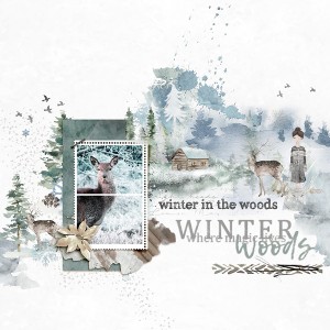 Winter Woods