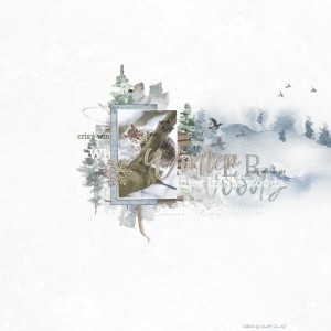 Winter Woods