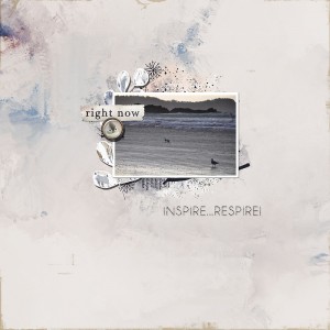 INSPIRE W