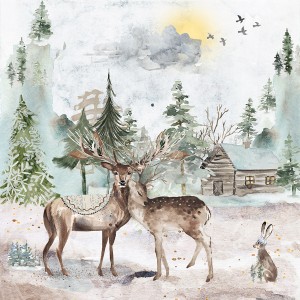 Winter in the Woods