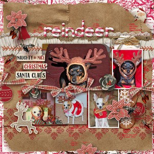 Antler-gallery