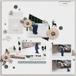 winter wonderland