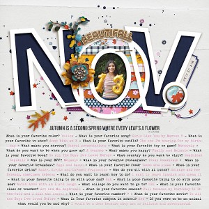 Beautifall November- Birthday Interview