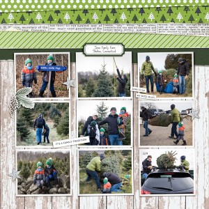 2018-12-12-jones-farm-_600web