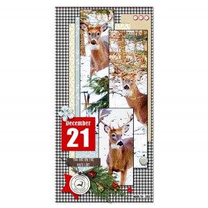 2018-12_December-TLP_DYD_21_deer_web
