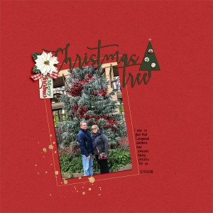MOC Day1-Blind Scrap - Us in front of a Christmas Tree at Longwood Gardens