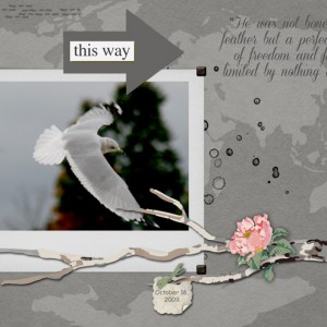 January 1: Blind Scrap: this way