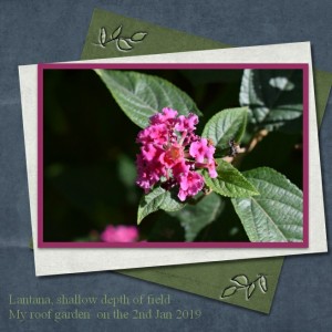 Day 2 Photography Depth Of Field