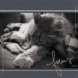 January 2 - DOF
