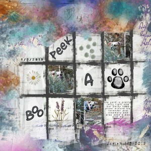 Jan03_GridPage_PeekABoo