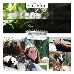 Singapore Zoo