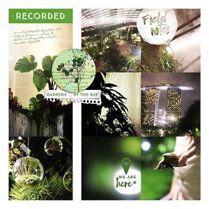 Gardens by The Bay
