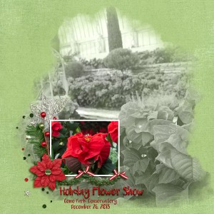 20121226-01-MOC4-Blended-photo
