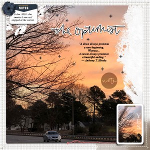 Optimist