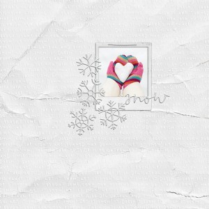 2019.01.11-snow-MOC-7.09