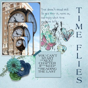 MOC5-Inspiration-TimeFlies