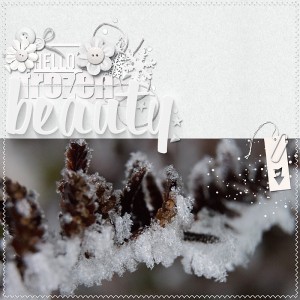 Frozen Beauty