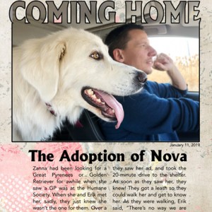 12-Cropped-Title_ComingHome-Nova