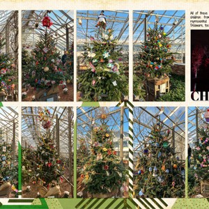 Trees at Longwood Gardens