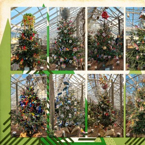 Trees at Longwood Gardens_left