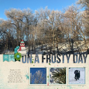 20181214-01-Frosty-day